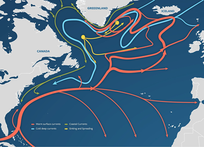 Atlantic Meridional Overturning Circulation (AMOC)