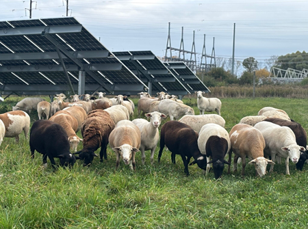 Heavy Metal Leaching